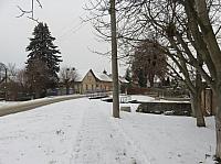 Třibřichy