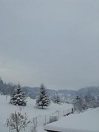 Skalité