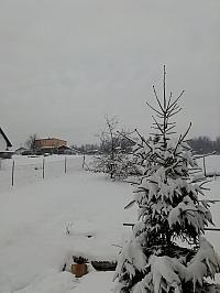 Skalité