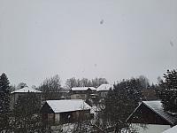 Olešná