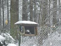 Němčice Zhoř