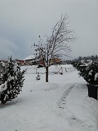 Skalité