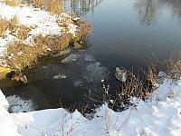 Neratovice