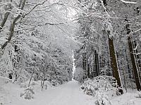 Němčice Zhoř