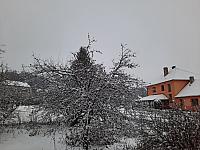Olešná