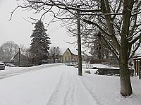 Třibřichy
