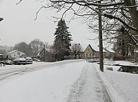 Třibřichy