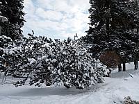 Lukovany