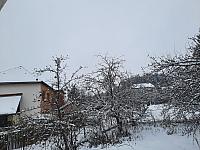 Olešná