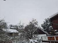 Olešná
