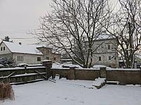 Třibřichy