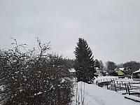 Olešná