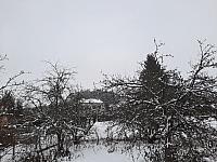 Olešná