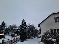 Olešná