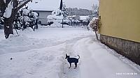 Chlebovice