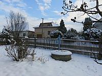 Třibřichy