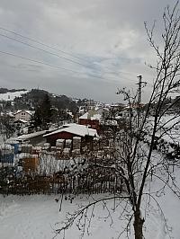 Skalité