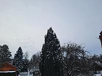Olešná