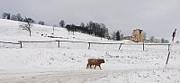 Holčovice
