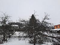Olešná