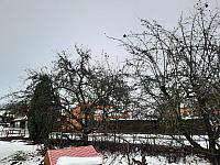 Olešná