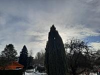 Olešná