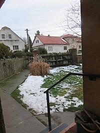 Třibřichy