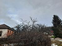 Olešná