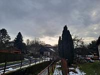 Olešná