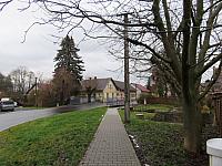 Třibřichy