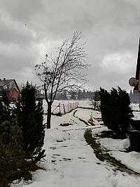 Skalité