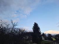Olešná