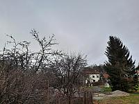 Olešná