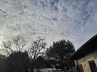 Olešná