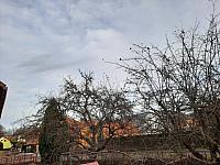 Olešná
