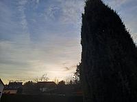 Olešná
