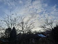 Olešná
