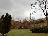 Skalité