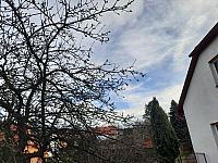 Olešná