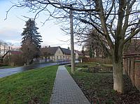 Třibřichy