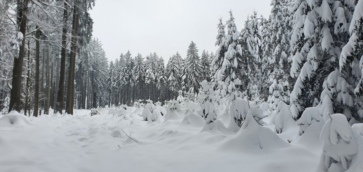 Radeč