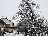Olešná