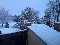 Holice