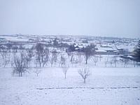 Žádovice
