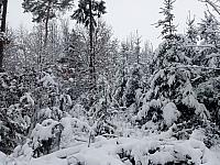 Lukovany