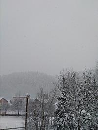 Hvozdnica