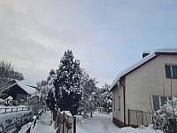 Olešná