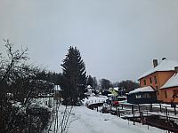 Olešná
