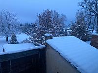 Holice