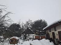 Olešná